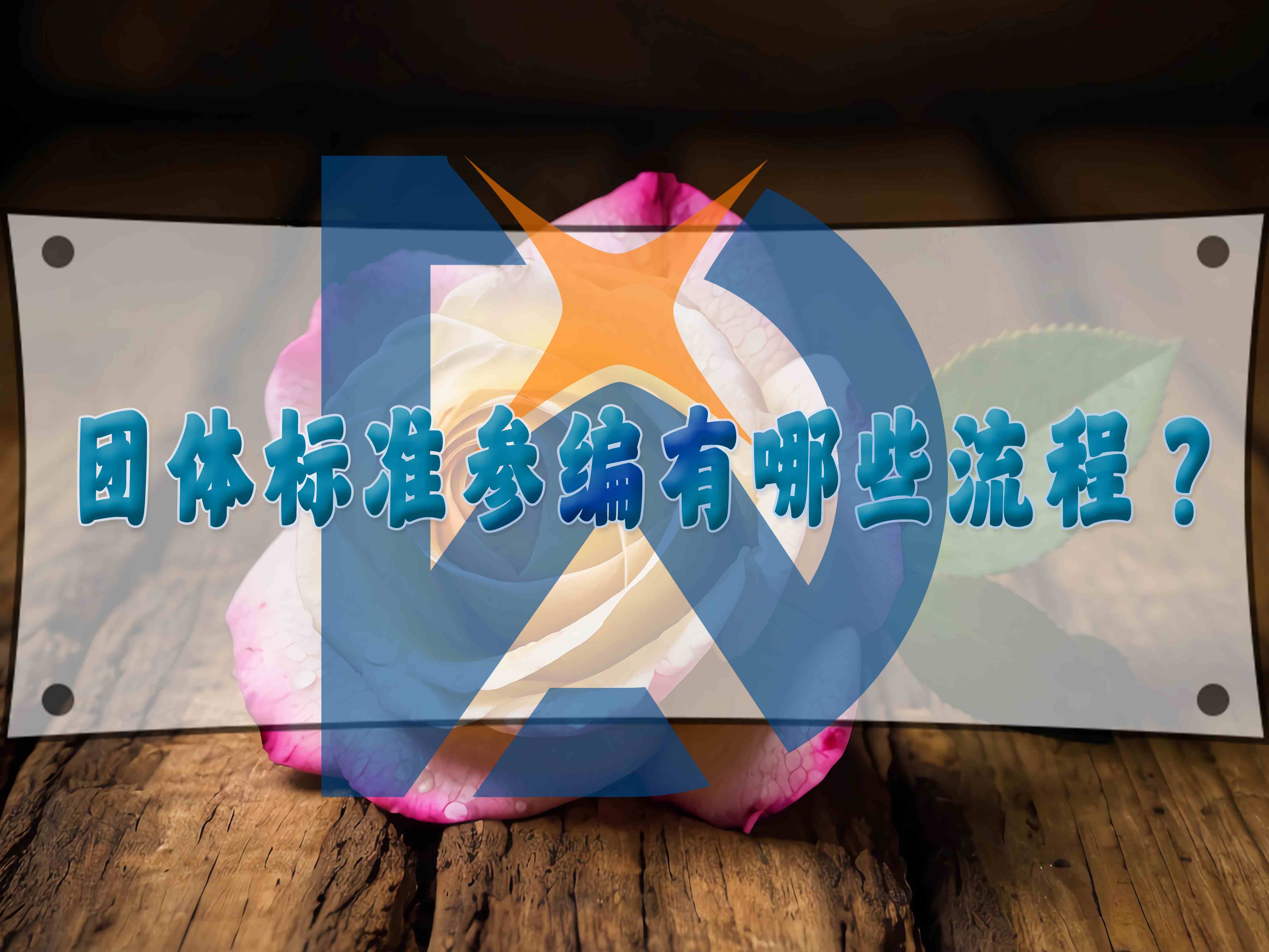 團體標準參編有哪些流程？