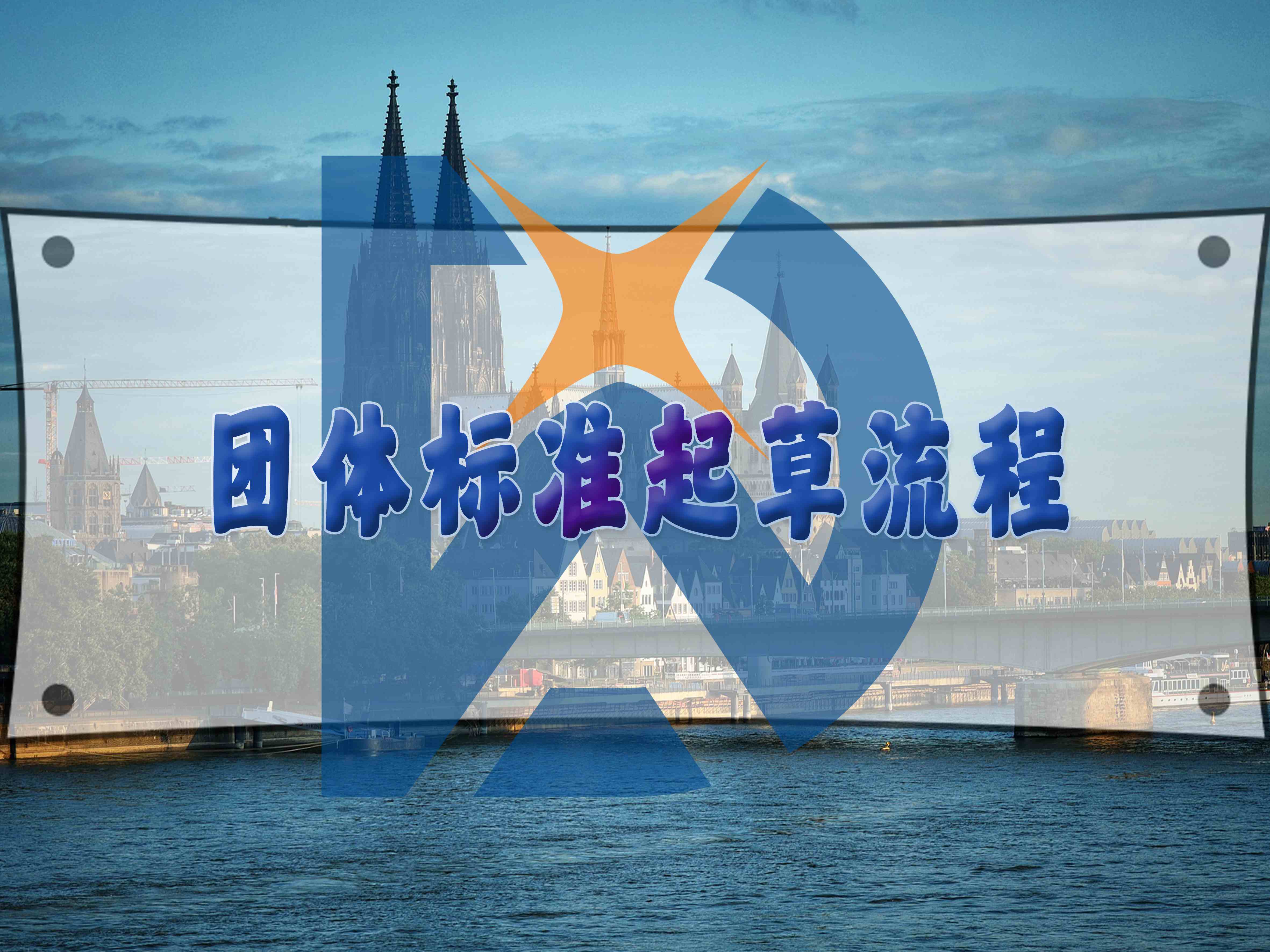 團體標準起草流程