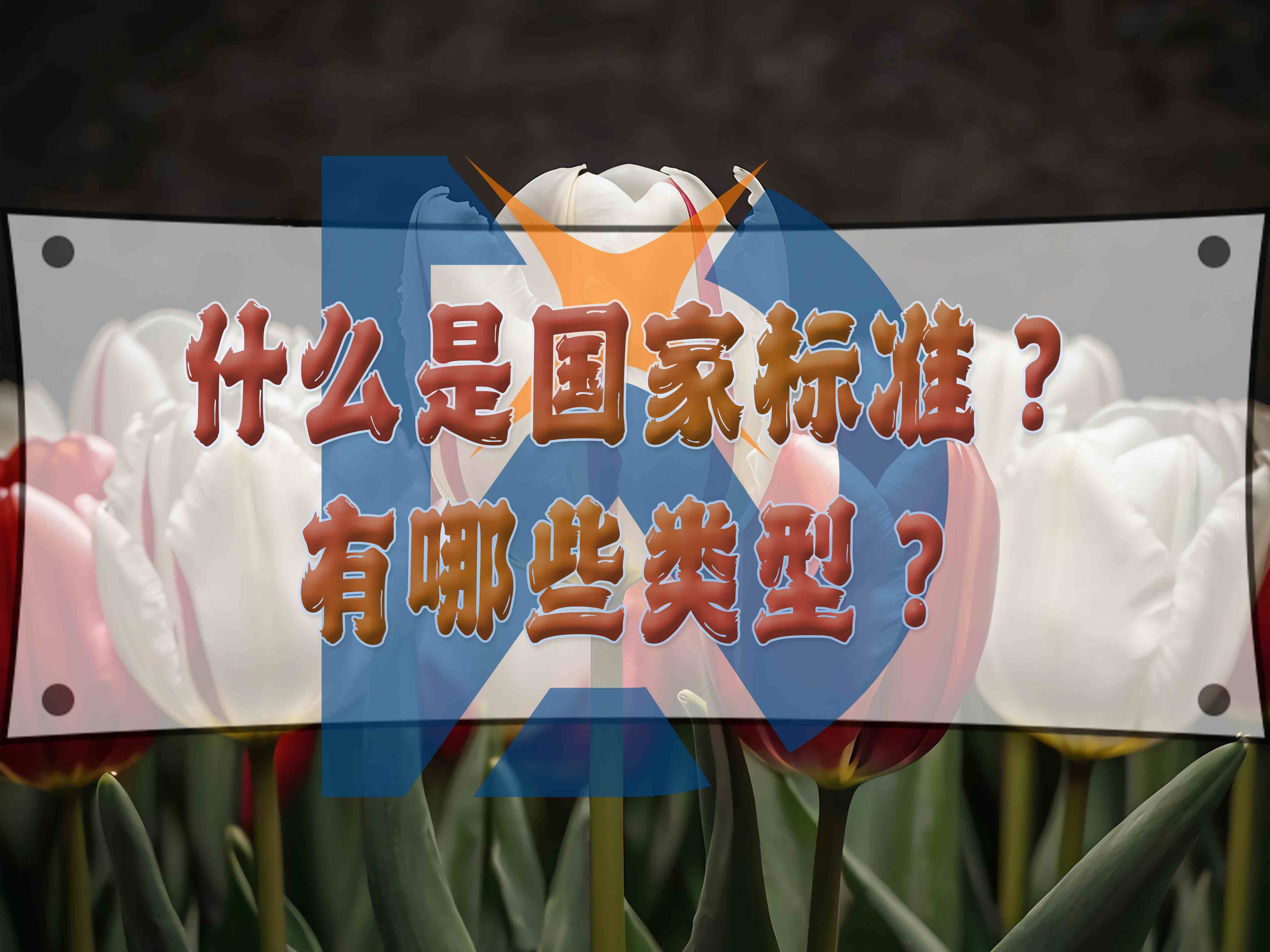 什么是國家標準？有哪些類型？