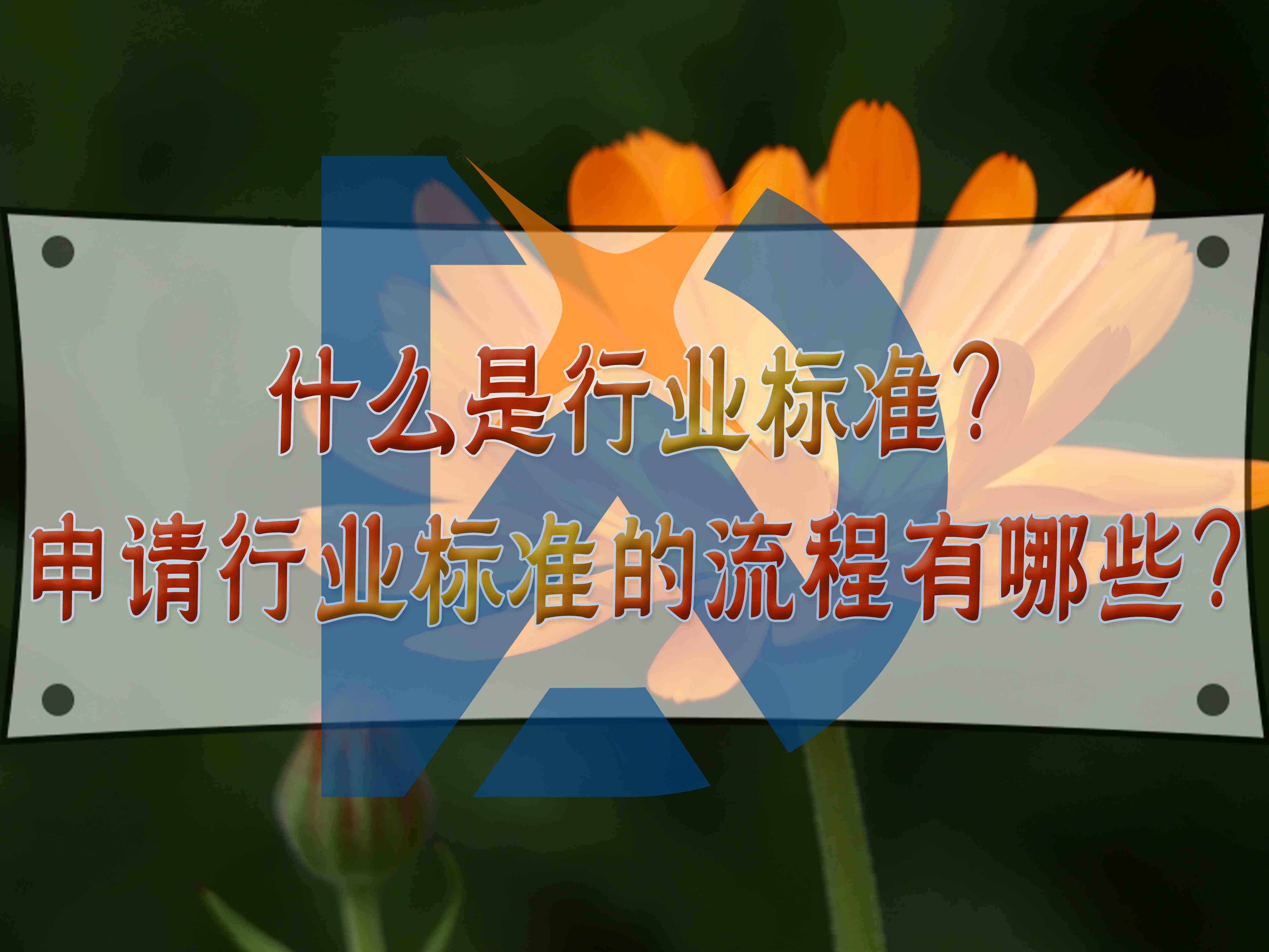 什么是行業標準？申請行業標準的流程有哪些？
