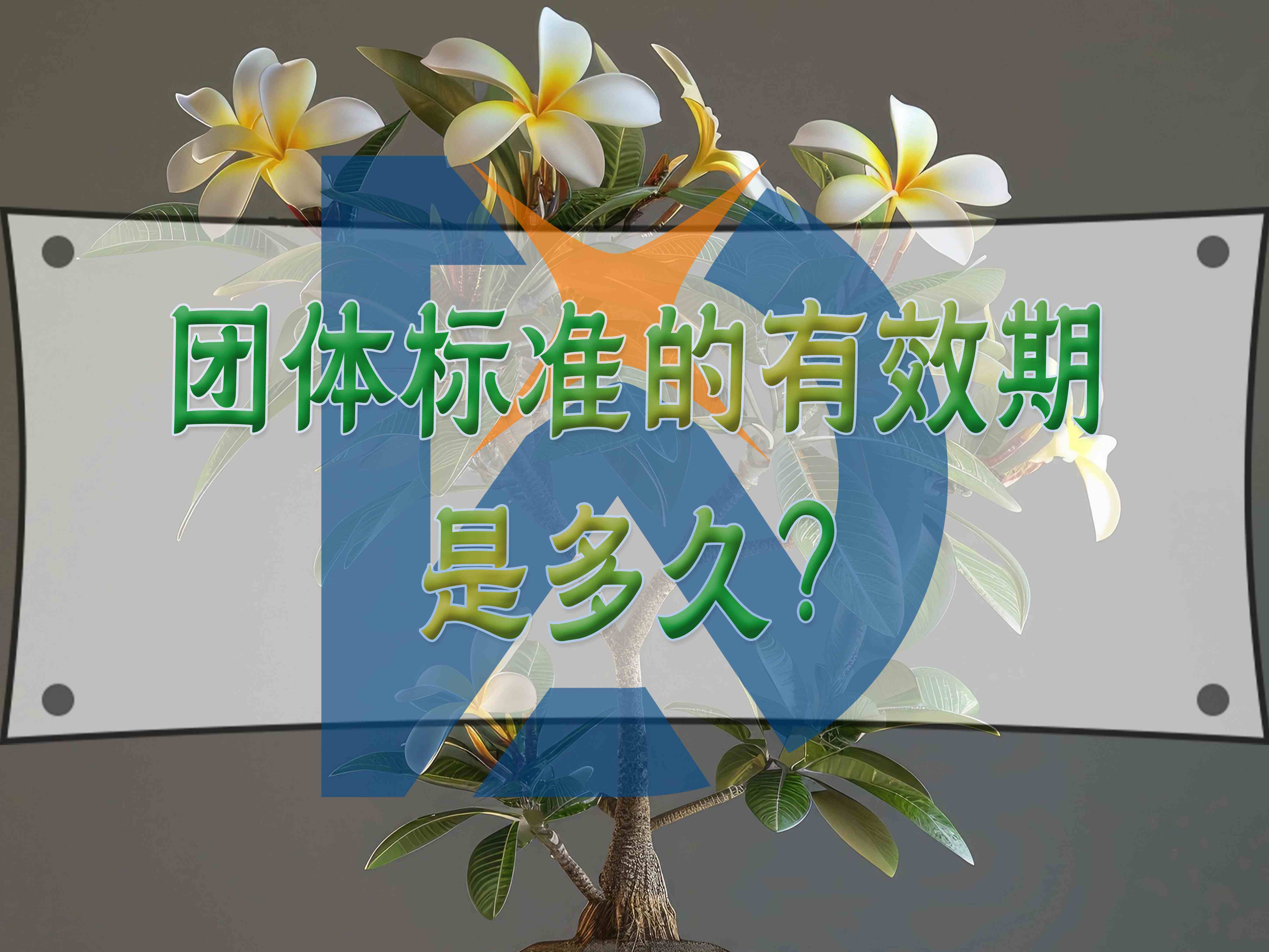 團體標準的有效期是多久？