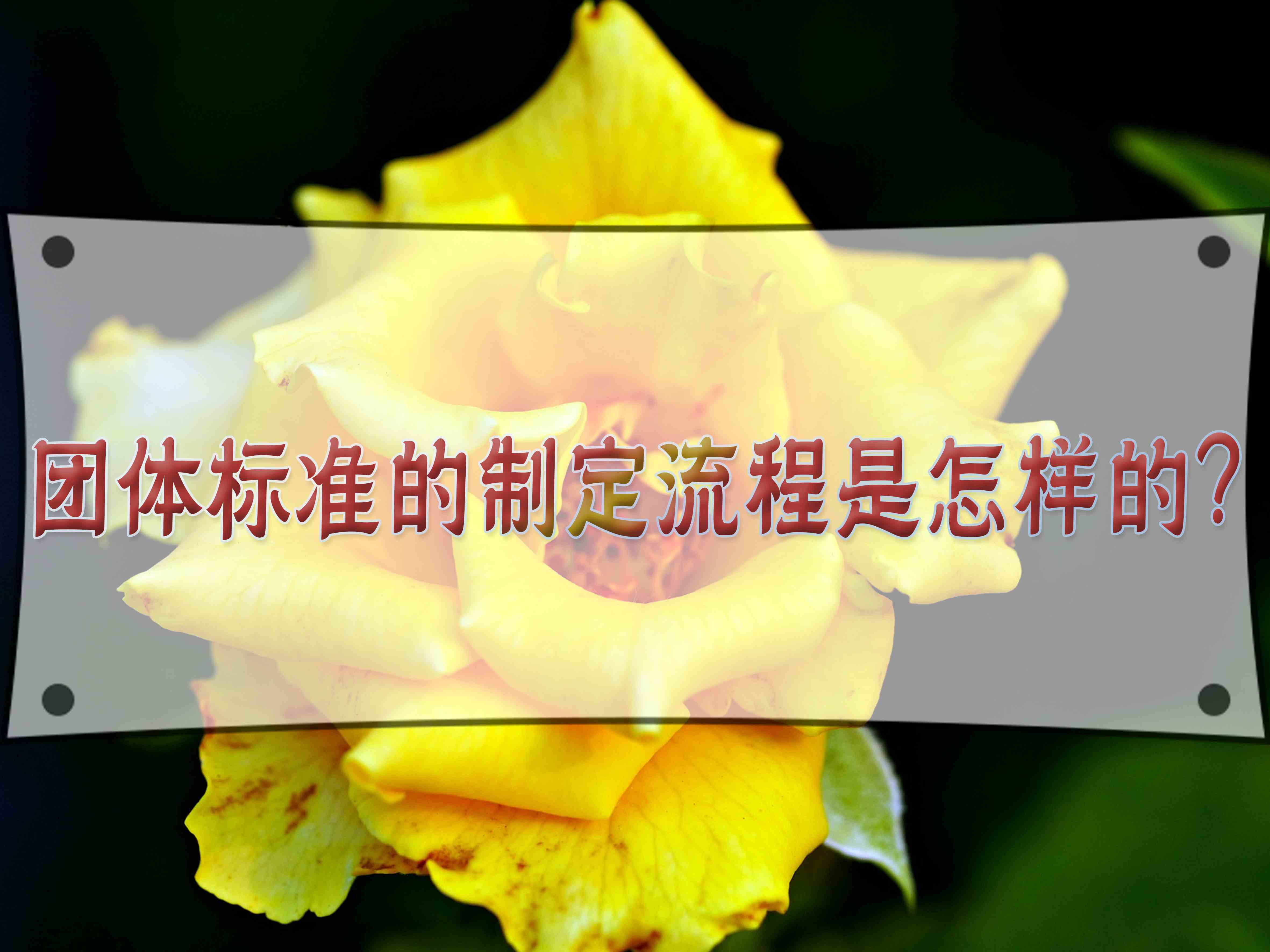 團體標準的制定流程是怎樣的？