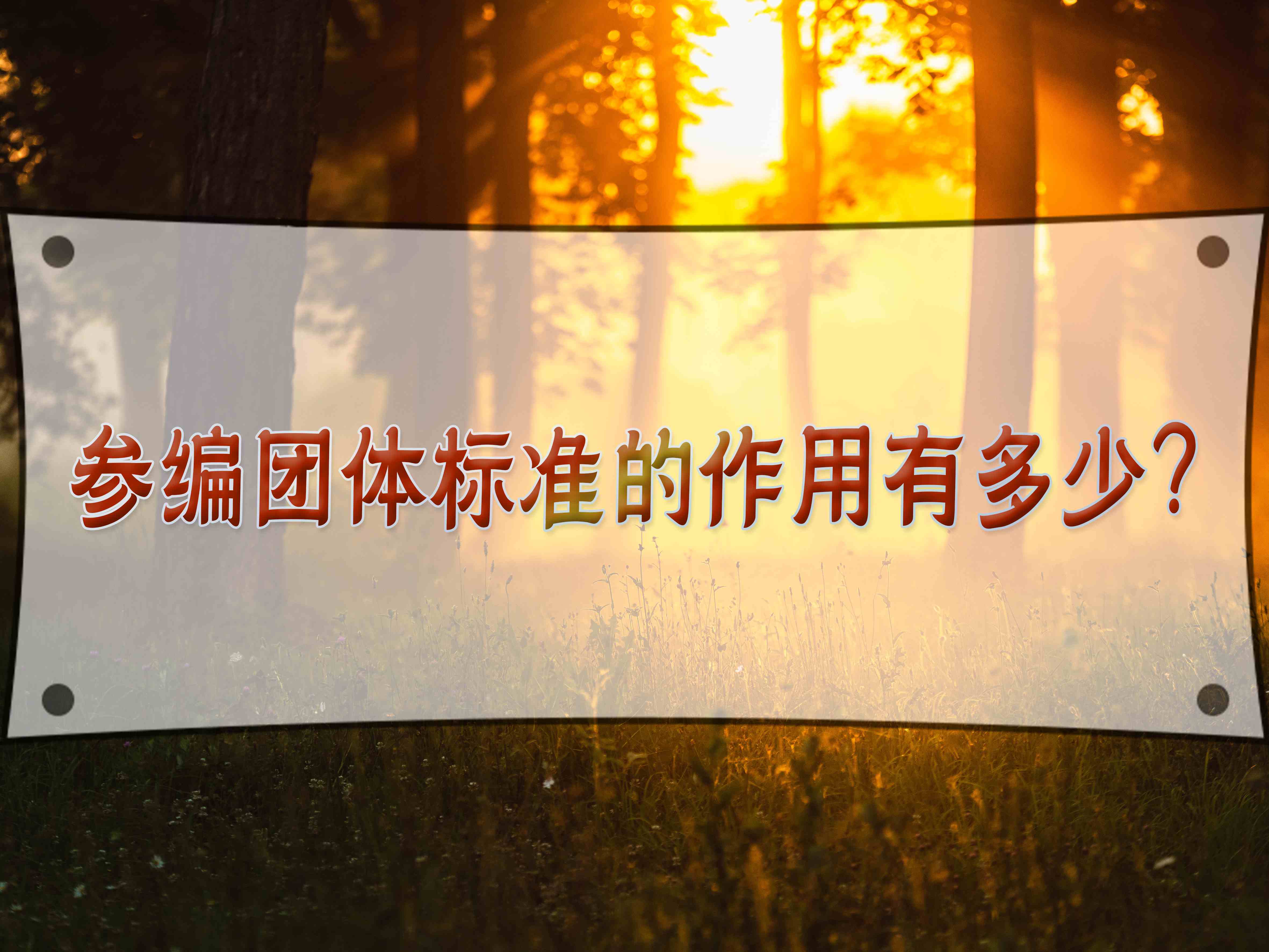 參編團體標準的作用有多少？