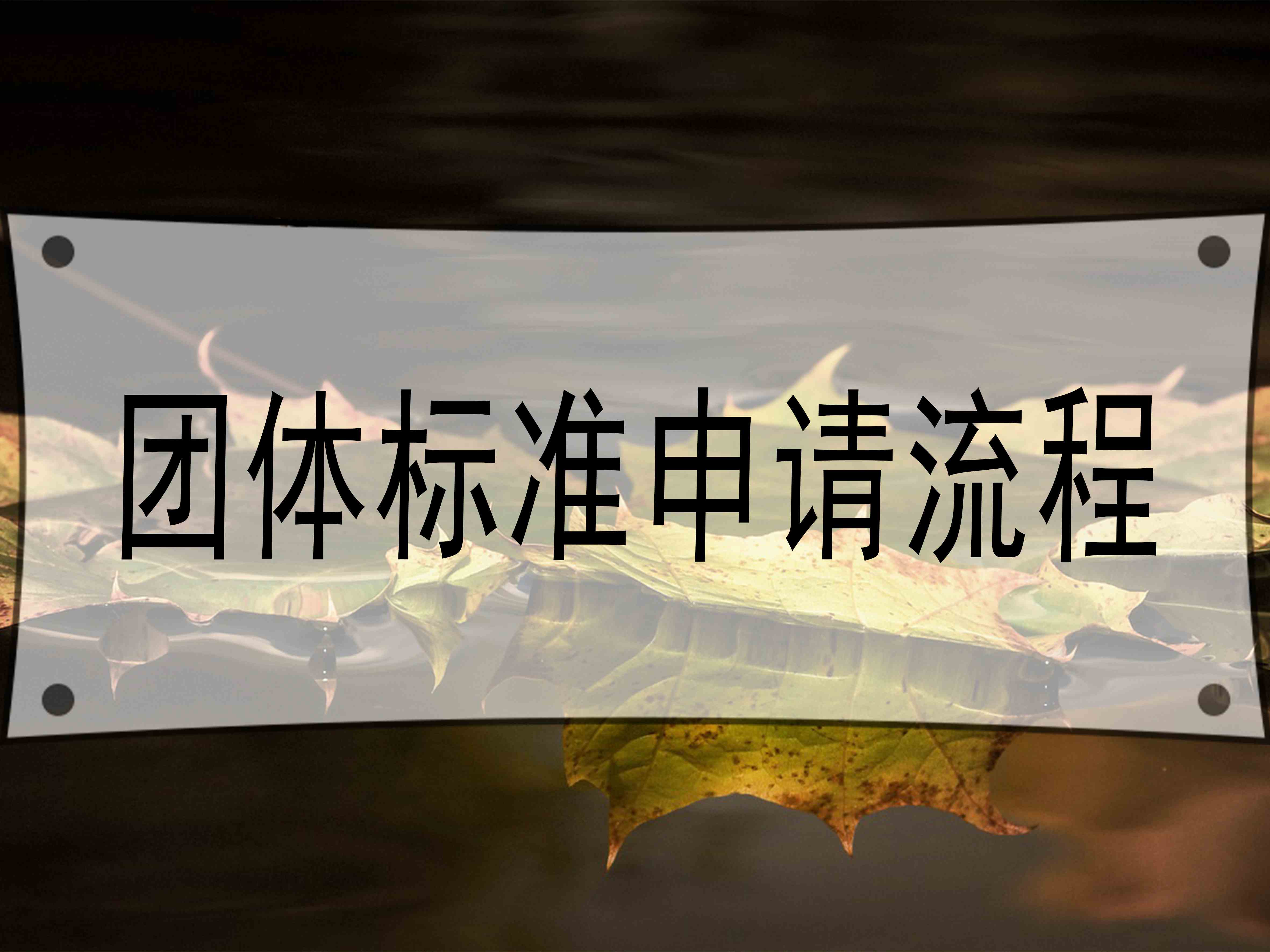 團體標準申請流程