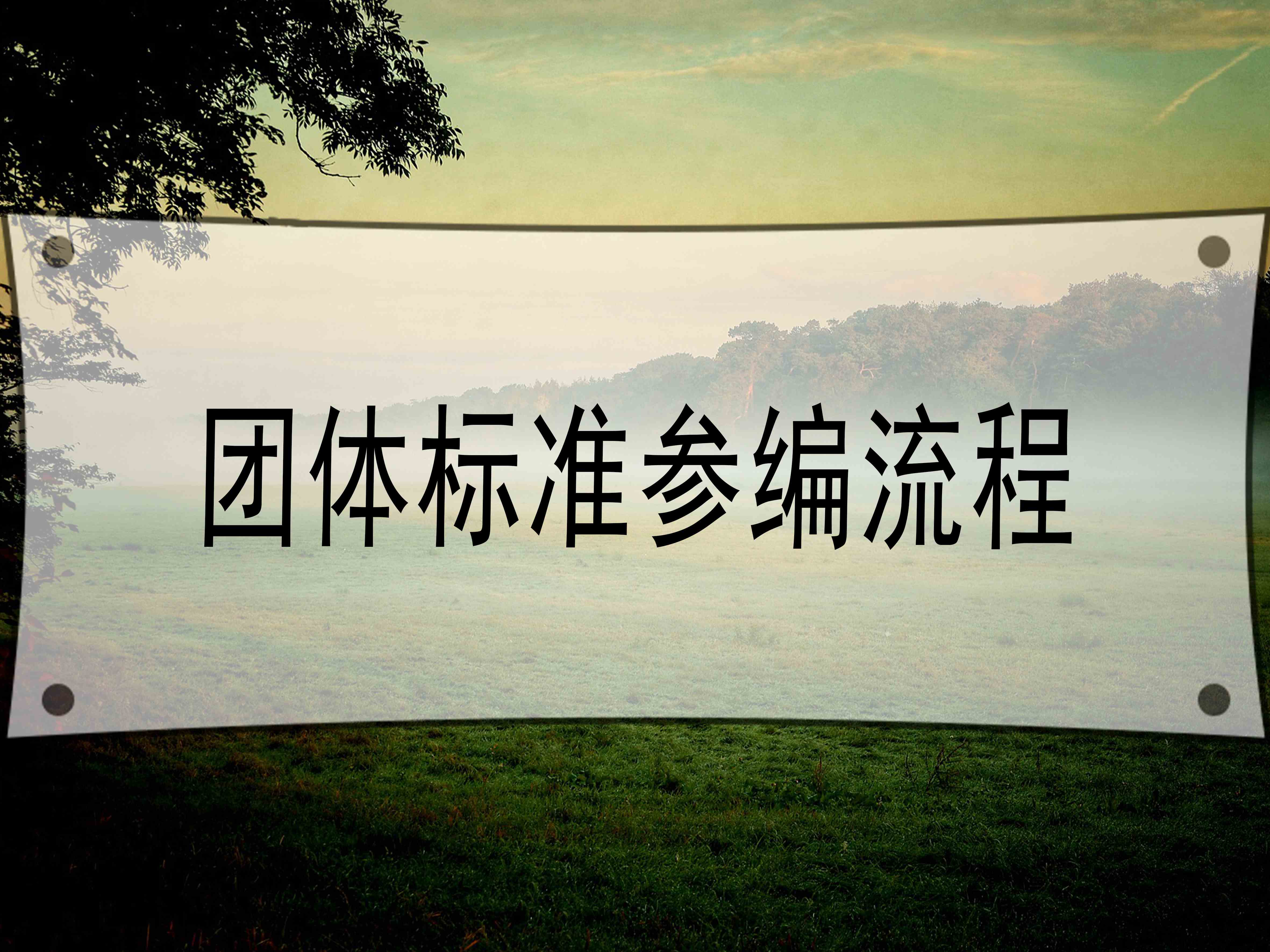 團體標準參編流程